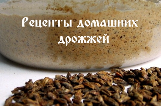 Рецепты домашних дрожжей