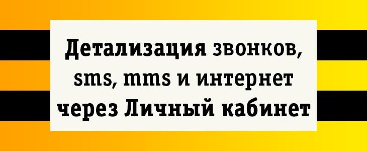 Личный кабинет Билайн – детализация звонков