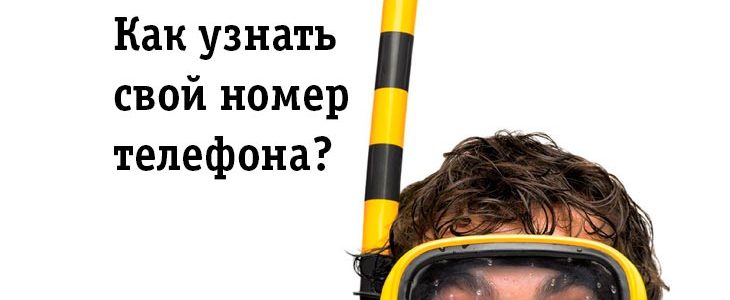 Как узнать свой номер телефона Билайн?