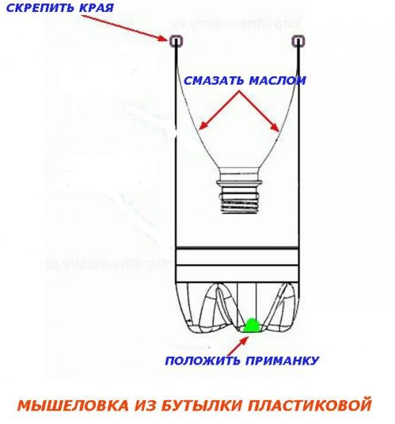 Устройство самодельной мышеловки из бутылки
