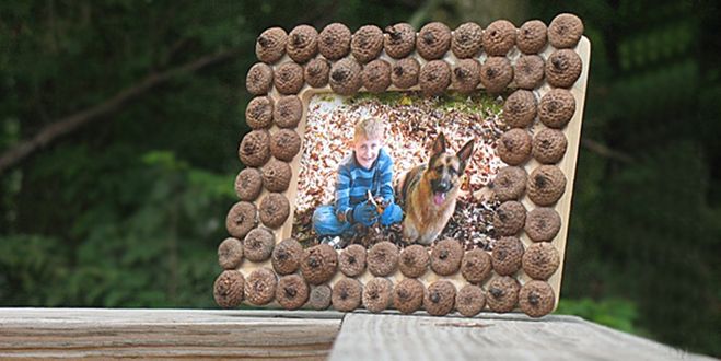 поделки из желудей