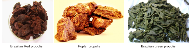 types of propolis