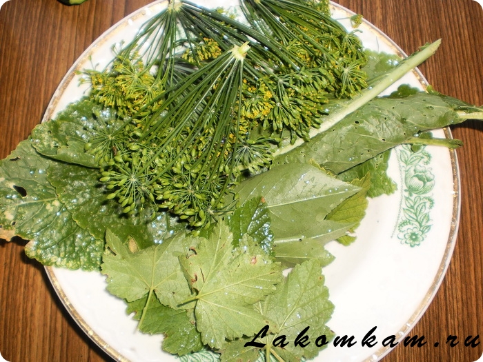 Маринованные кабачки как огурцы Маринованные кабачки как огурцы