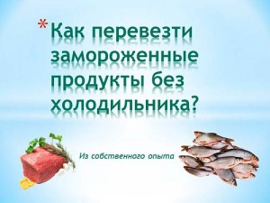 Как перевезти замороженные продукты без холодильника