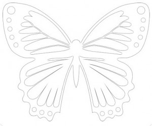 butterfly