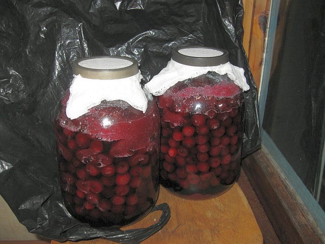 вишня в банках