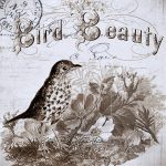 Как украсить коробочку