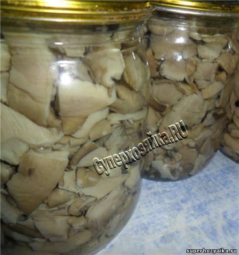 Грибы Вешенки маринованные на зиму