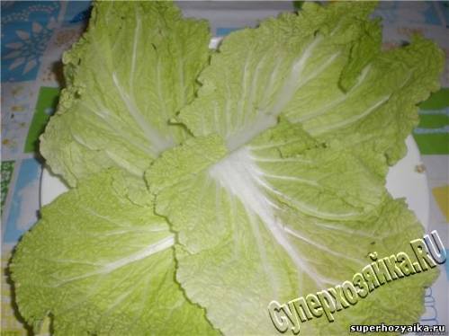 Салат с курицей и картофелем фри. Салат Гнездо глухаря.