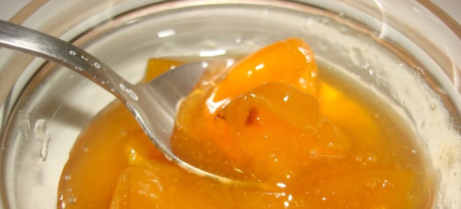 Варенье из алычи без косточек на зиму