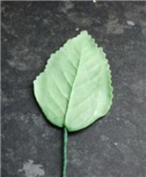 Цветы из холодного фарфора23