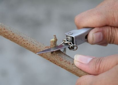 Как сделать лук своими руками3