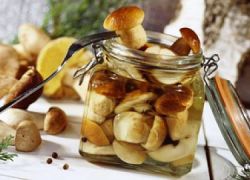 грибы белые маринованные на зиму рецепт