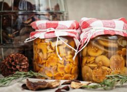 как солить грибы на зиму