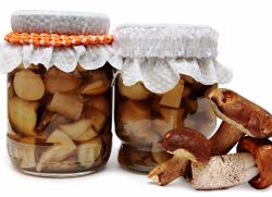 засолка грибов на зиму в банках