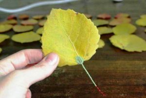 поделки из листьев своими руками17