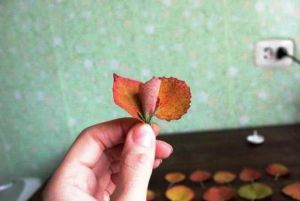 поделки из листьев своими руками24