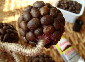 топиарий из кофейных зерен 13