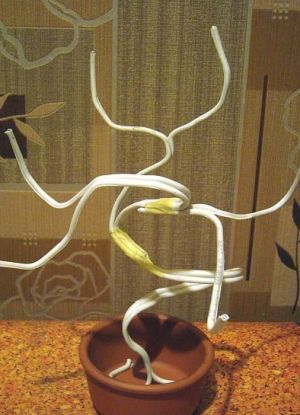 топиарий из кофейных зерен 8