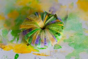 мастер класс помпоны из бумаги 6