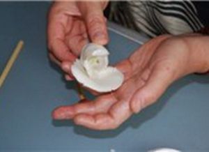 Цветы из холодного фарфора18