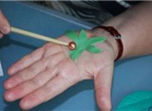 Цветы из холодного фарфора0