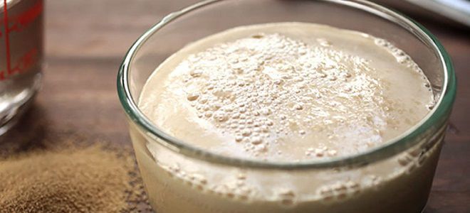 Пирожковое тесто на сухих дрожжах