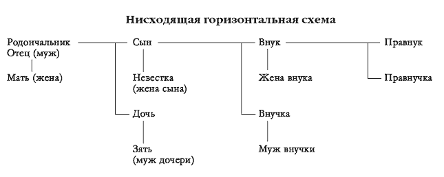 Горизонтальная табличка родословной