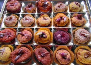 Где хранить луковицы гладиолусов