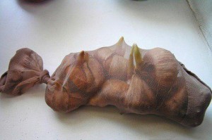 В чем хранить луковицы гладиолусов