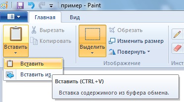 вставить в painte