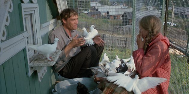 Советские фильмы: «Любовь и голуби»