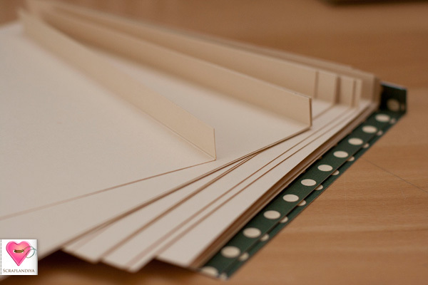 Альбом в переплете на лентах, фото № 5