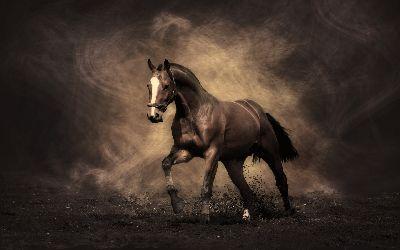 Деревянная лошадка – магический символ 2014, фото № 3