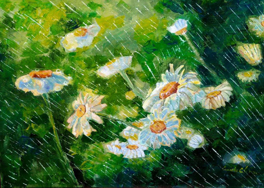 Дождь-художник: любуемся красотой природы во время дождя, фото № 31