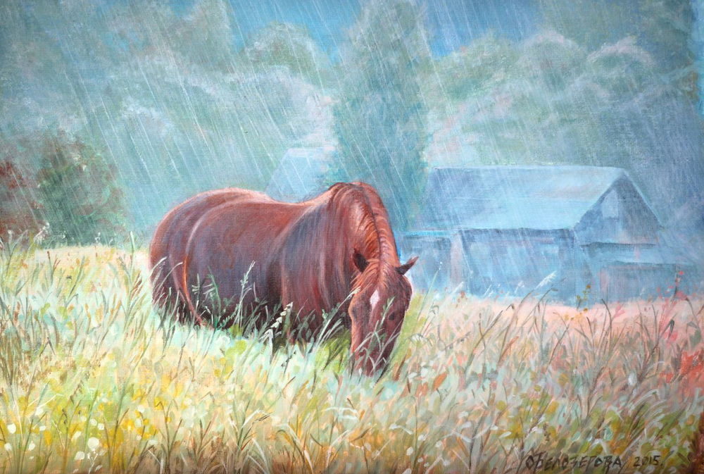 Дождь-художник: любуемся красотой природы во время дождя, фото № 15
