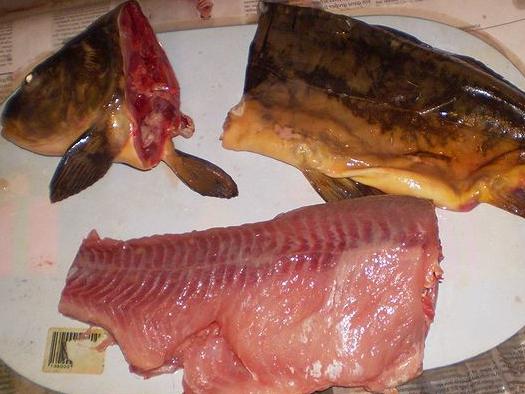 фаршированная рыба в духовке рецепт 