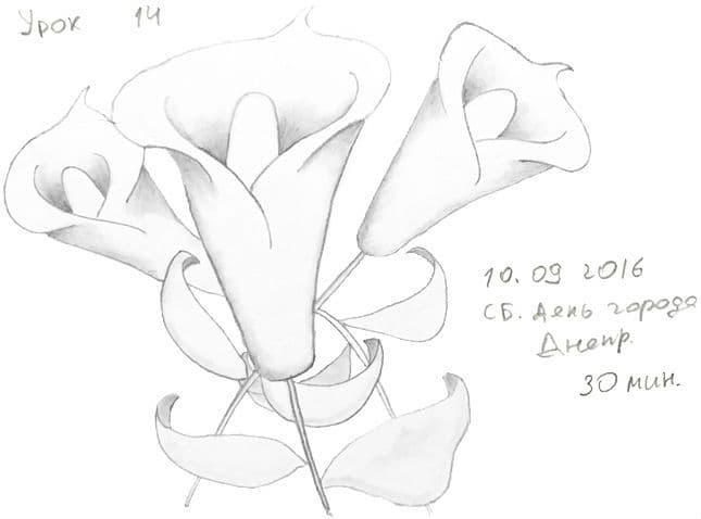 Как научиться рисовать карандашом урок 14. 3 цветка
