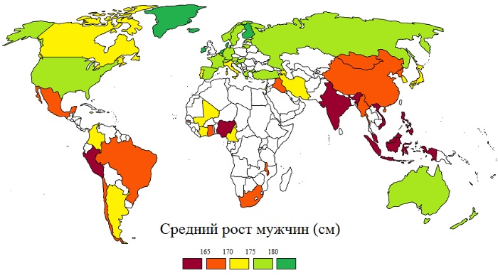 Средний рост мужчины в мире, России. Рост по расам, национальностям, народам. От чего зависит