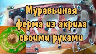 КАК СДЕЛАТЬ МУРАВЬИНУЮ ФЕРМУ СВОИМИ РУКАМИ ИЗ АКРИЛА. ФОРМИКАРИЙ. ACRYLIC FORMICARY DIY