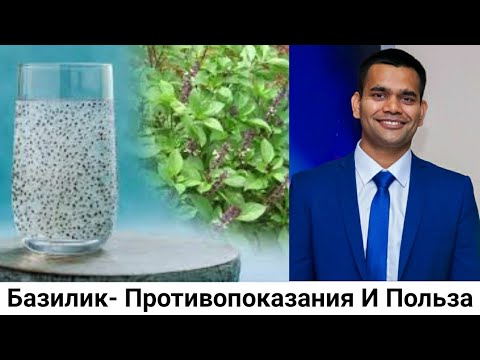 Базилик: состав, польза и вред, применение в кулинарии и лечебных целях, рецепты