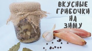 Очень вкусный рецепт маринованных маслят. Заготовка грибов на зиму. Мой опыт.