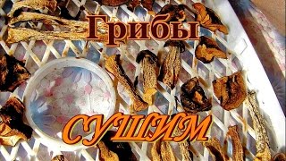 Грибы. Как сушить грибы.Видео рецепты от бабки (Борисовны).