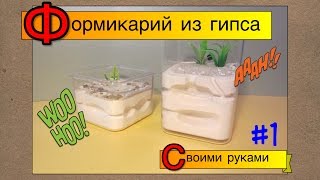 Формикарий из гипса своими руками // Выпуск 1