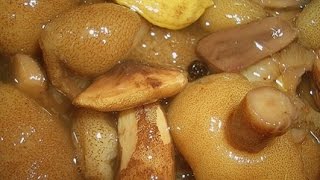 Вкусные МАРИНОВАННЫЕ на зиму МАСЛЯТА от бабушки