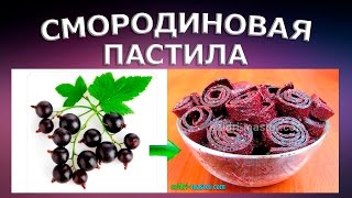 Пастила из смородины