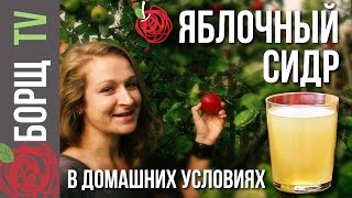 Яблочный сидр | Рецепт яблочного сидра из сока в домашних условиях