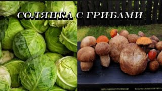 СОЛЯНКА С КАПУСТОЙ И ГРИБАМИ (очень вкусный рецепт)