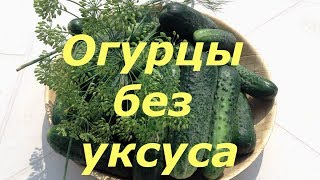 212. Огурцы без уксуса. Хрустят и не взрываются