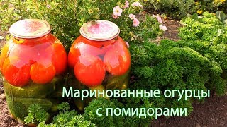 Маринованные огурцы с помидорами на зиму